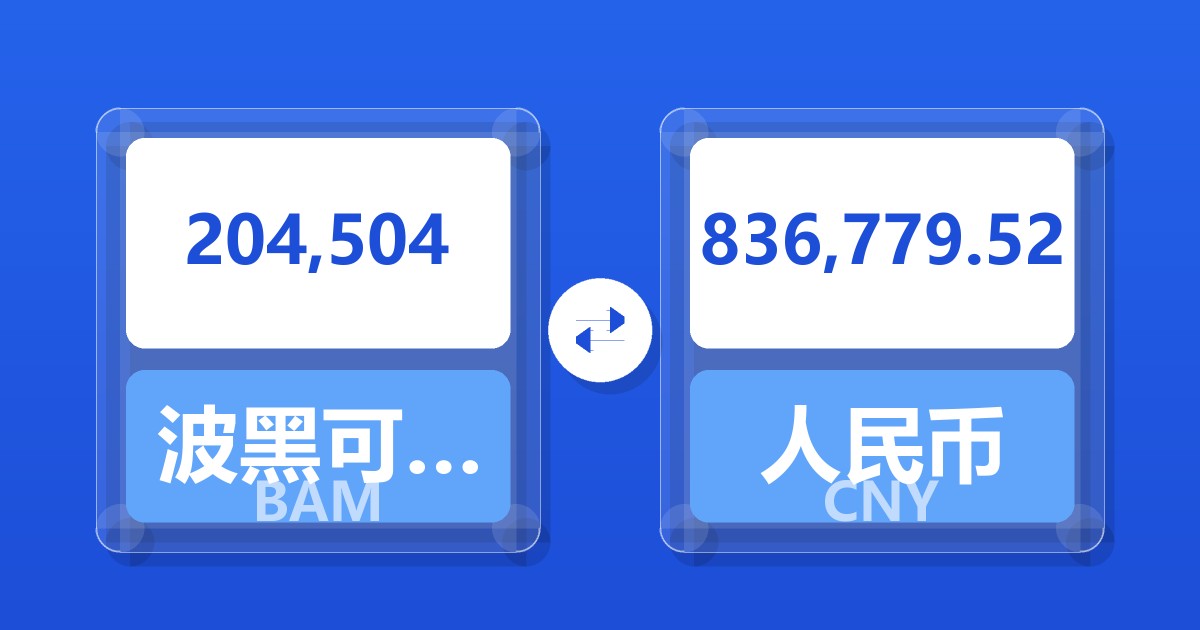 204,504波黑可兑换马克兑人民币