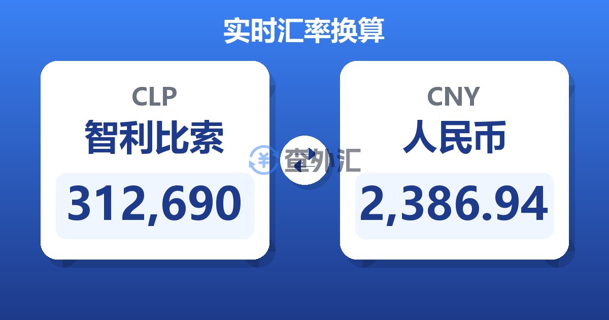 312,690智利比索兑人民币