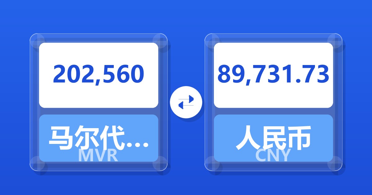 202,560马尔代夫拉菲亚兑人民币