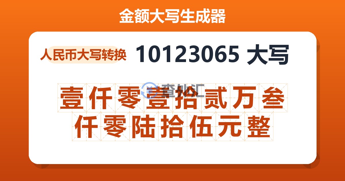 10123065大写 壹仟零壹拾贰万叁仟零陆拾伍元整
