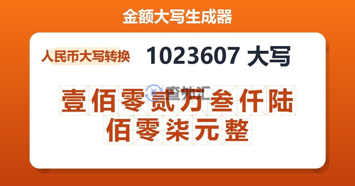 1023607大写 壹佰零贰万叁仟陆佰零柒元整