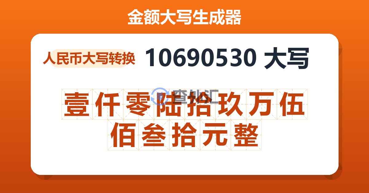 10690530大写 壹仟零陆拾玖万伍佰叁拾元整