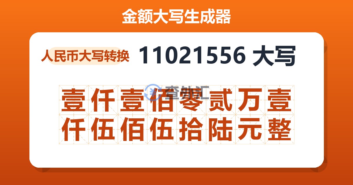 11021556大写 壹仟壹佰零贰万壹仟伍佰伍拾陆元整