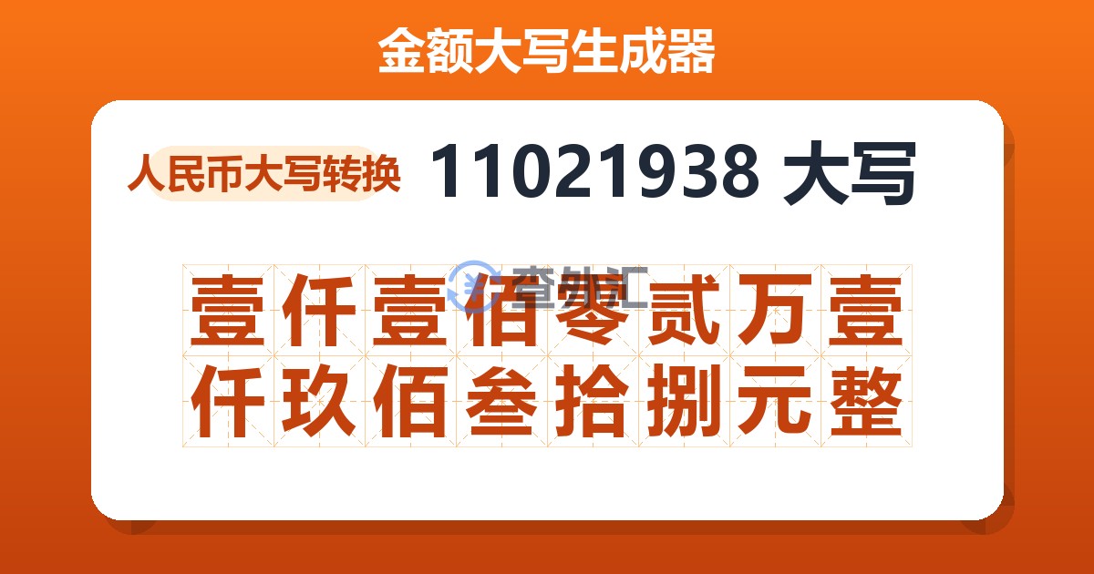 11021938大写 壹仟壹佰零贰万壹仟玖佰叁拾捌元整