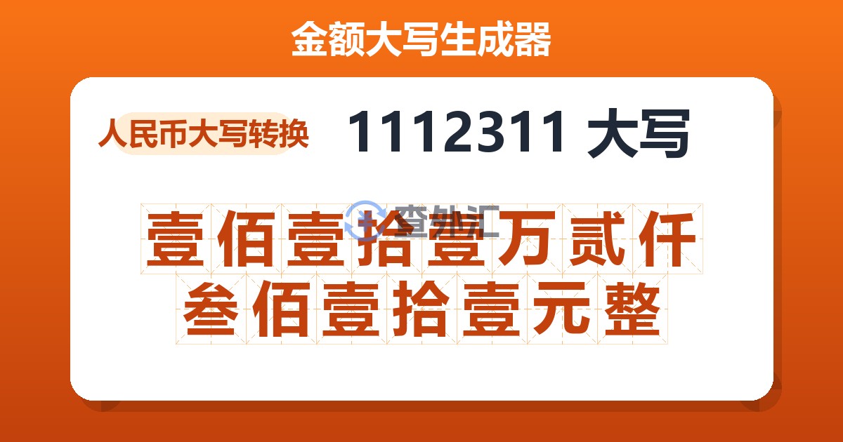 1112311大写 壹佰壹拾壹万贰仟叁佰壹拾壹元整