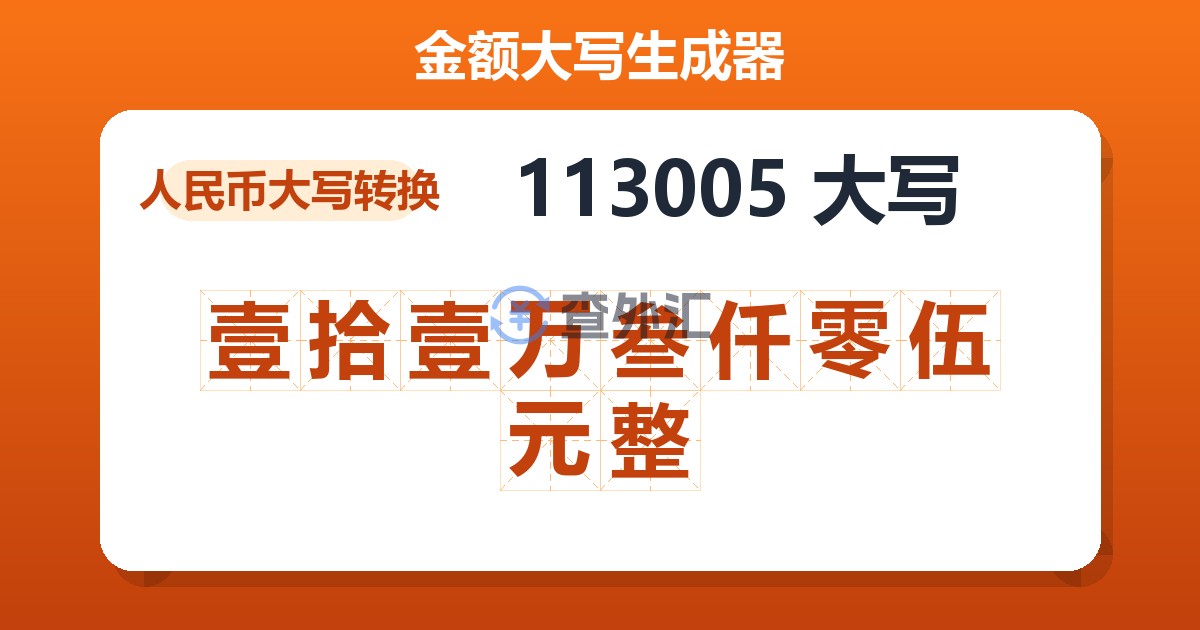 113005大写 壹拾壹万叁仟零伍元整