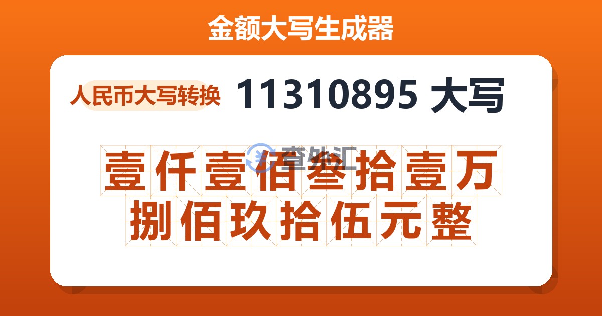 11310895大写 壹仟壹佰叁拾壹万捌佰玖拾伍元整