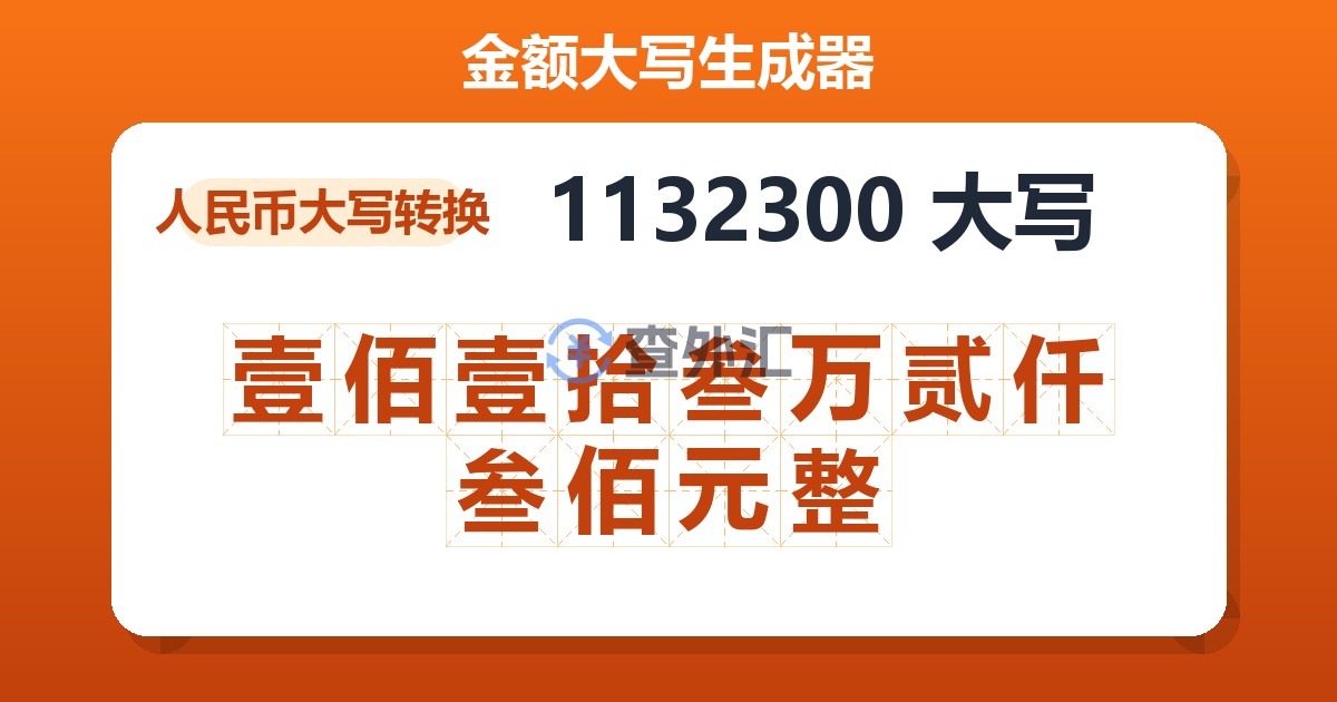 1132300大写 壹佰壹拾叁万贰仟叁佰元整