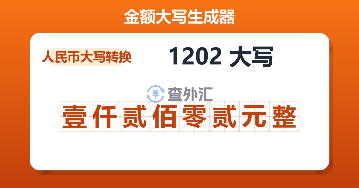 1202大写 壹仟贰佰零贰元整