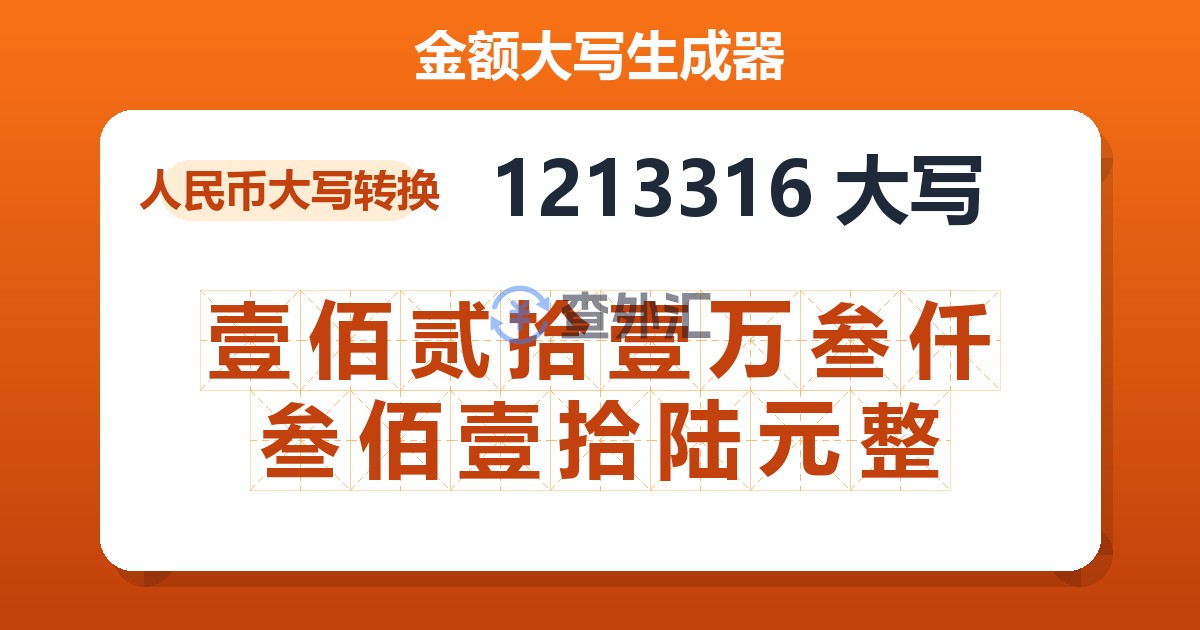 1213316大写 壹佰贰拾壹万叁仟叁佰壹拾陆元整