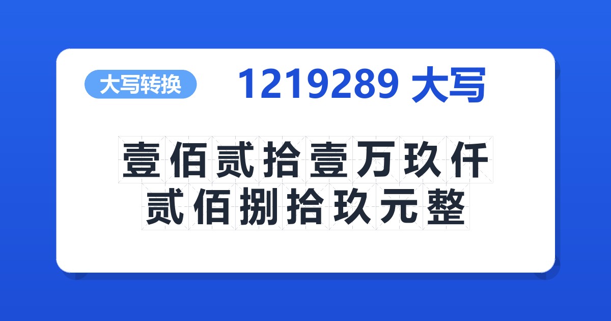 1219289大写 壹佰贰拾壹万玖仟贰佰捌拾玖元整