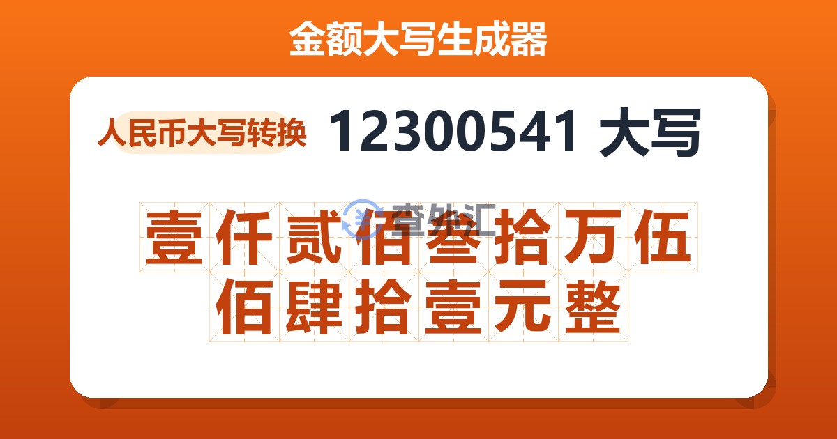 12300541大写 壹仟贰佰叁拾万伍佰肆拾壹元整