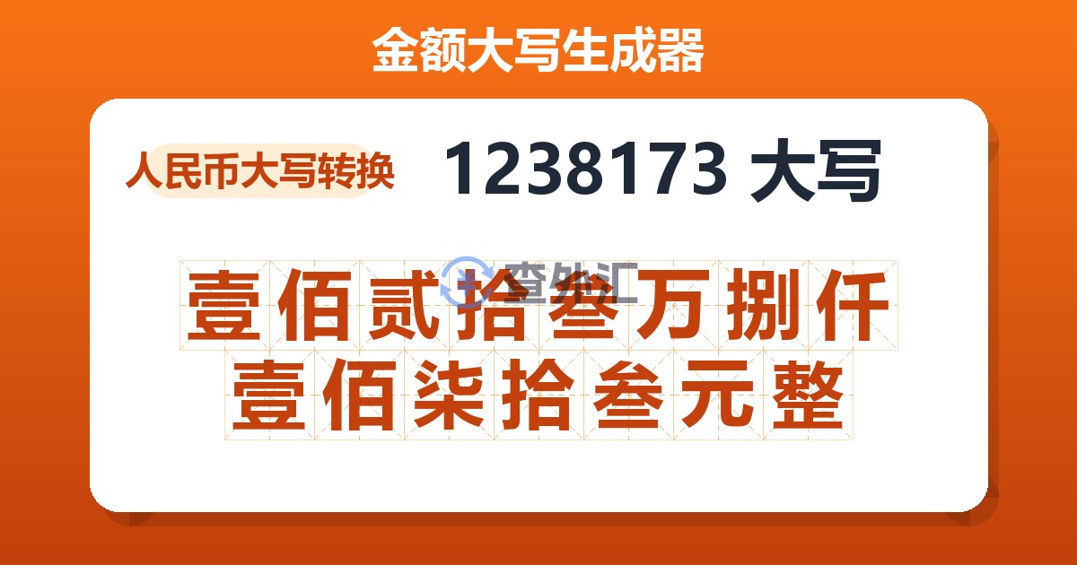 1238173大写 壹佰贰拾叁万捌仟壹佰柒拾叁元整