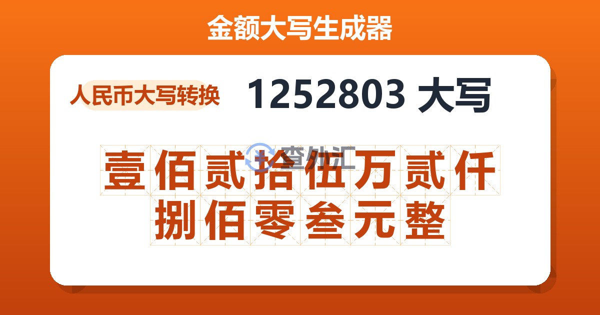 1252803大写 壹佰贰拾伍万贰仟捌佰零叁元整