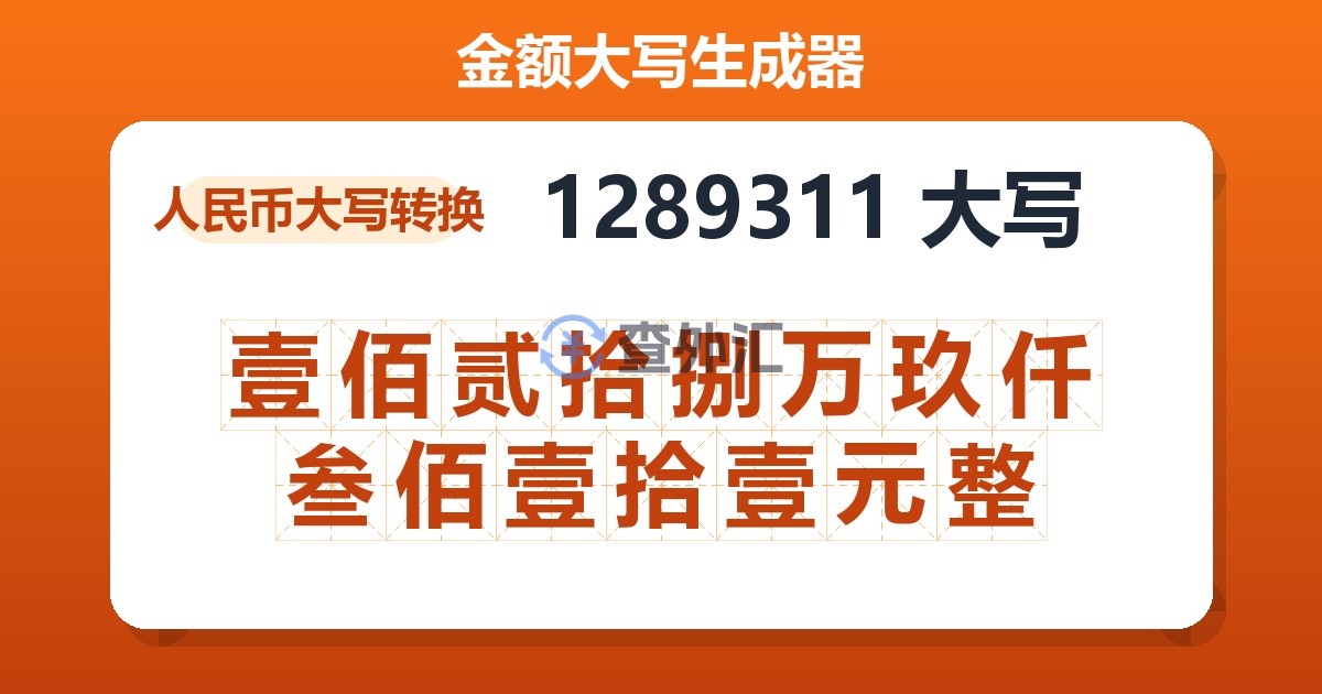 1289311大写 壹佰贰拾捌万玖仟叁佰壹拾壹元整
