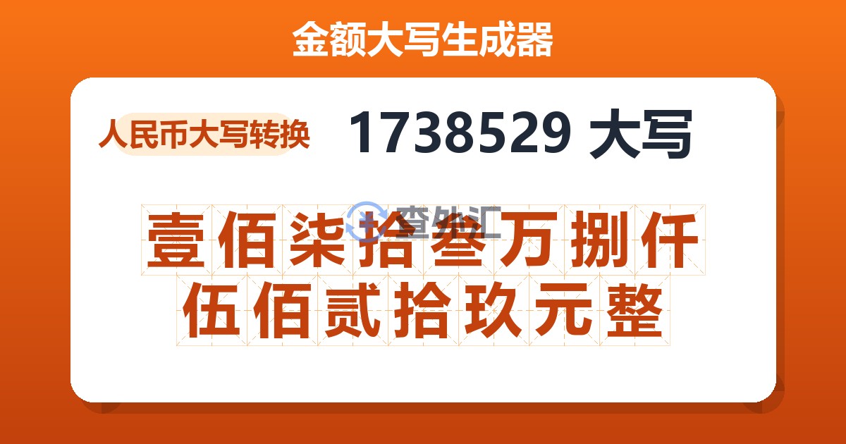 1738529大写 壹佰柒拾叁万捌仟伍佰贰拾玖元整