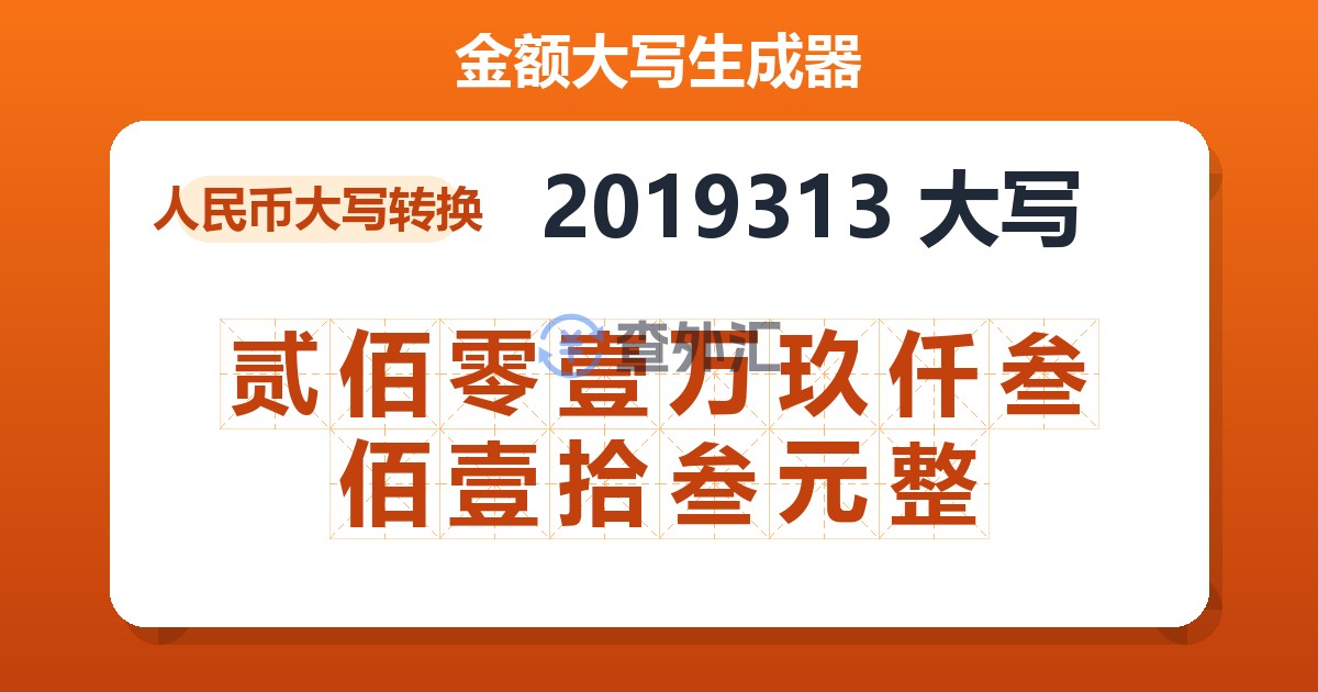 2019313大写 贰佰零壹万玖仟叁佰壹拾叁元整