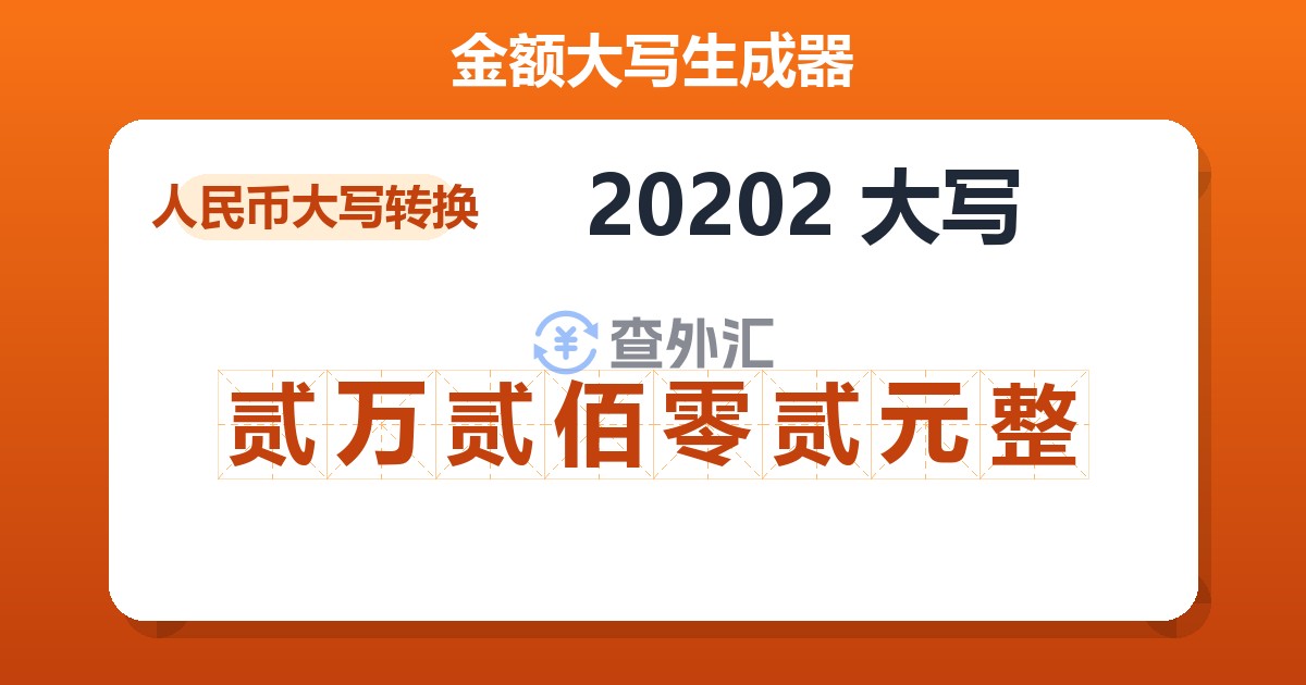 20202大写 贰万贰佰零贰元整