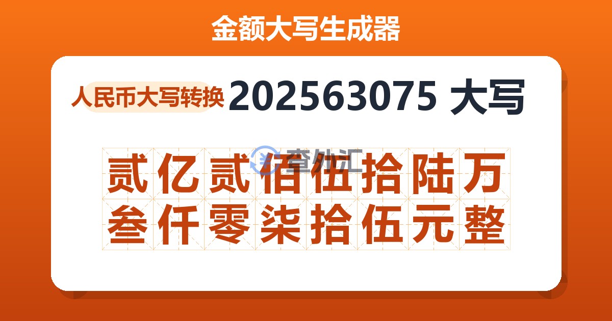 202563075大写 贰亿贰佰伍拾陆万叁仟零柒拾伍元整