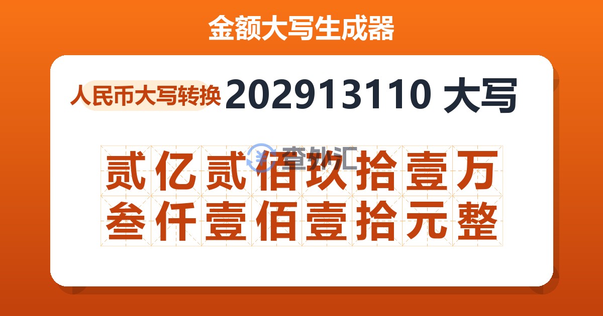 202913110大写 贰亿贰佰玖拾壹万叁仟壹佰壹拾元整