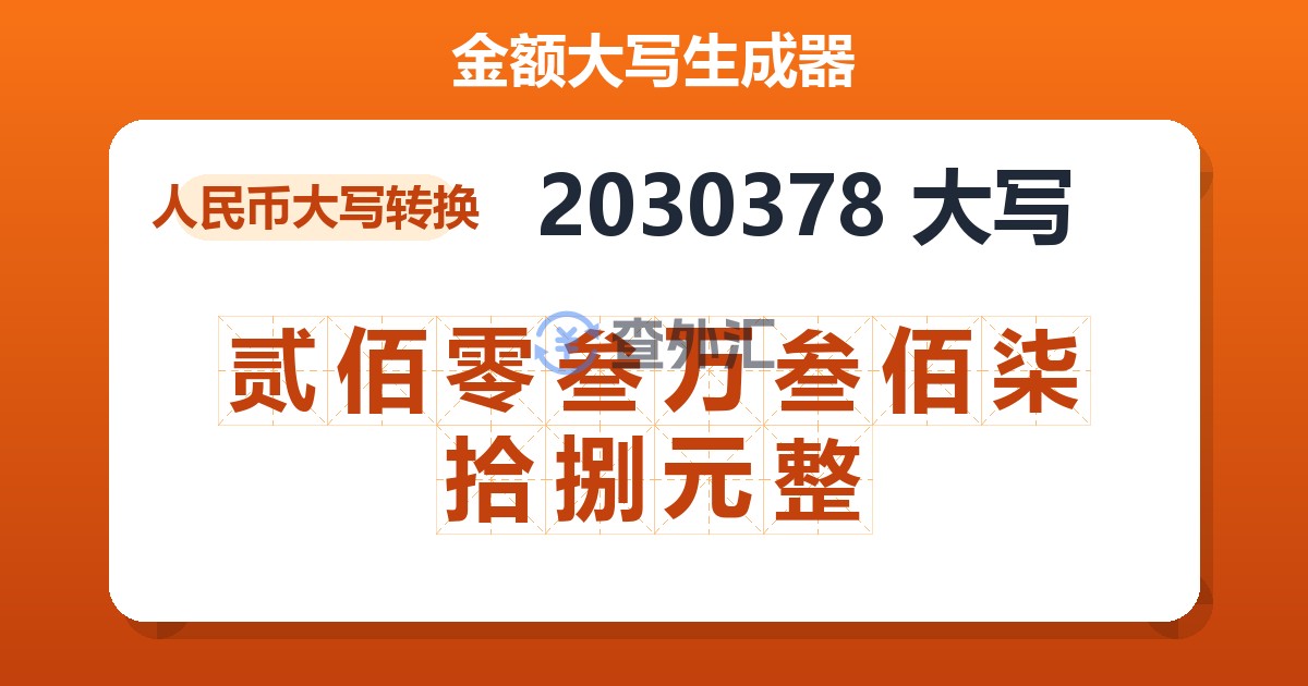 2030378大写 贰佰零叁万叁佰柒拾捌元整