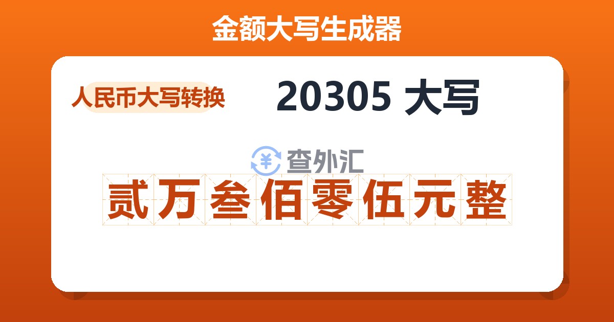 20305大写 贰万叁佰零伍元整