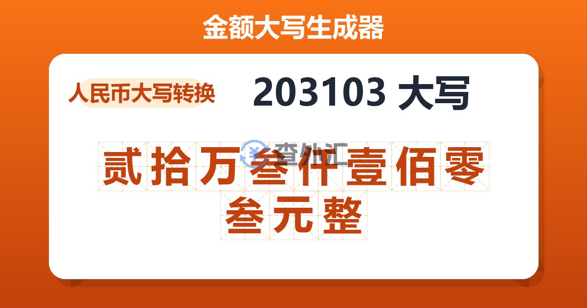 203103大写 贰拾万叁仟壹佰零叁元整