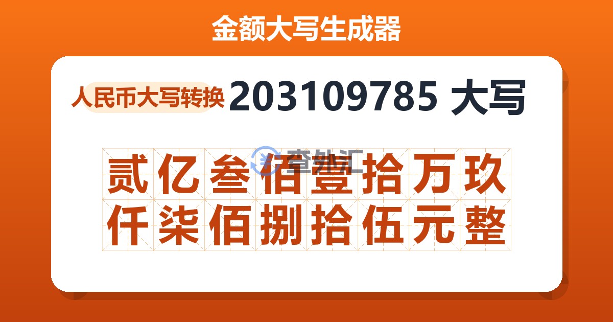203109785大写 贰亿叁佰壹拾万玖仟柒佰捌拾伍元整