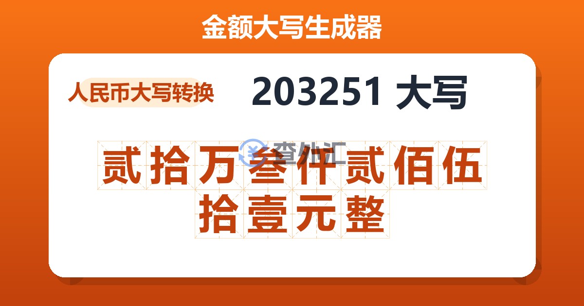 203251大写 贰拾万叁仟贰佰伍拾壹元整