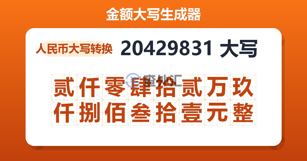 20429831大写 贰仟零肆拾贰万玖仟捌佰叁拾壹元整