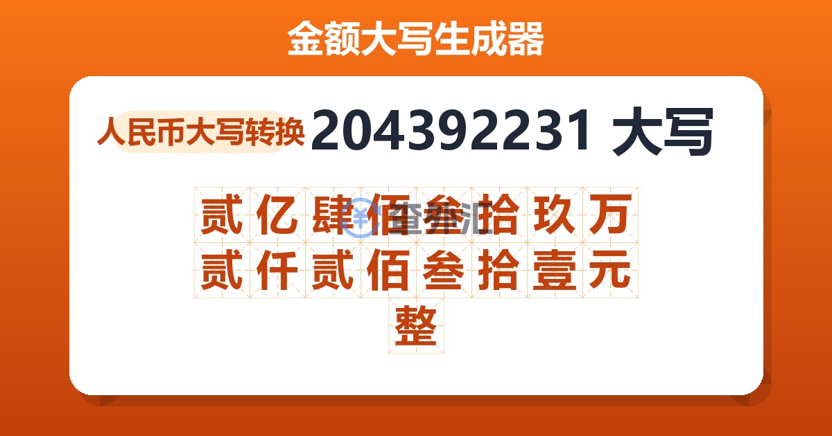 204392231大写 贰亿肆佰叁拾玖万贰仟贰佰叁拾壹元整