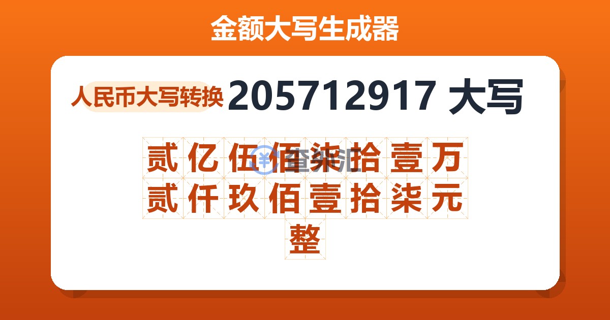 205712917大写 贰亿伍佰柒拾壹万贰仟玖佰壹拾柒元整