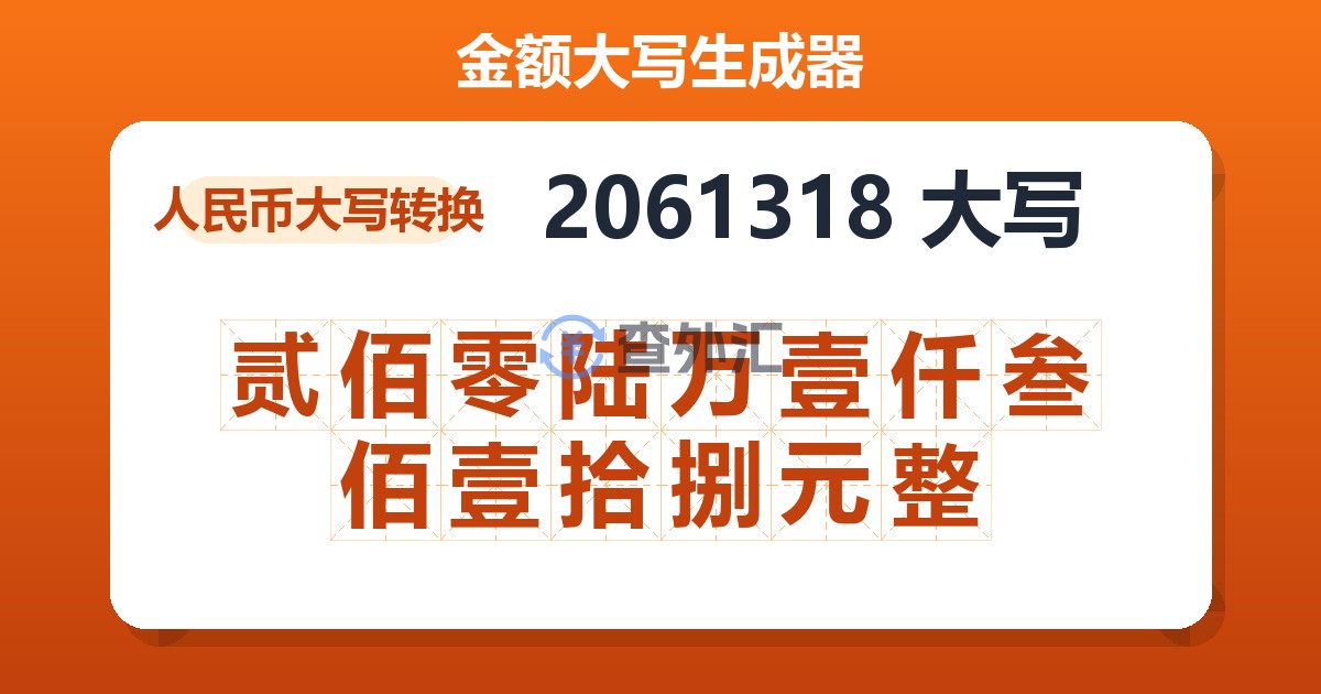 2061318大写 贰佰零陆万壹仟叁佰壹拾捌元整