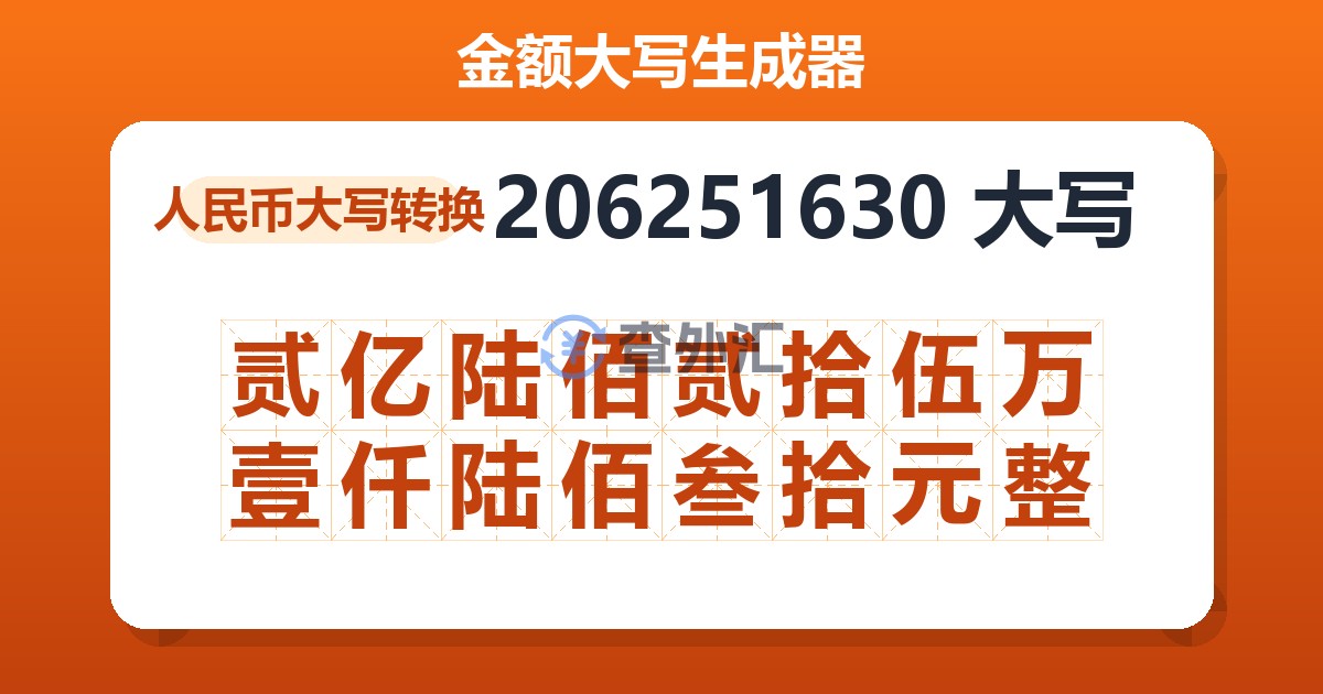 206251630大写 贰亿陆佰贰拾伍万壹仟陆佰叁拾元整