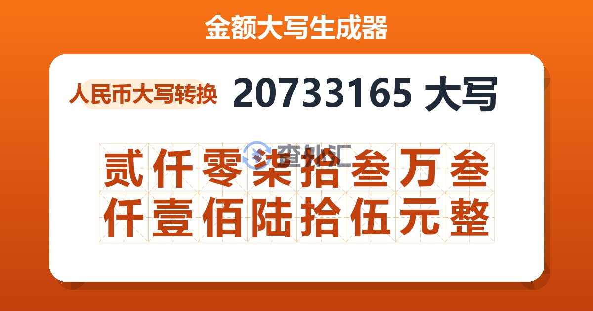 20733165大写 贰仟零柒拾叁万叁仟壹佰陆拾伍元整