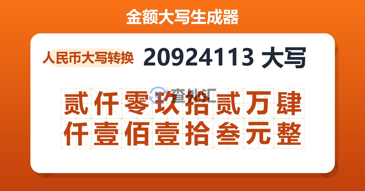 20924113大写 贰仟零玖拾贰万肆仟壹佰壹拾叁元整