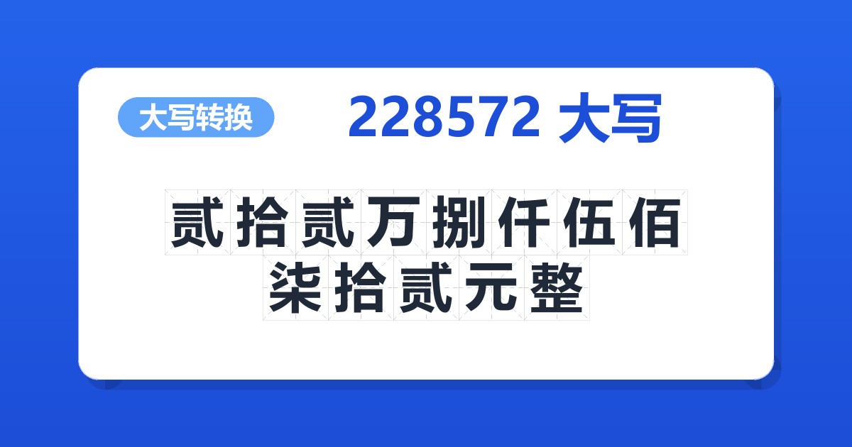 228572大写 贰拾贰万捌仟伍佰柒拾贰元整