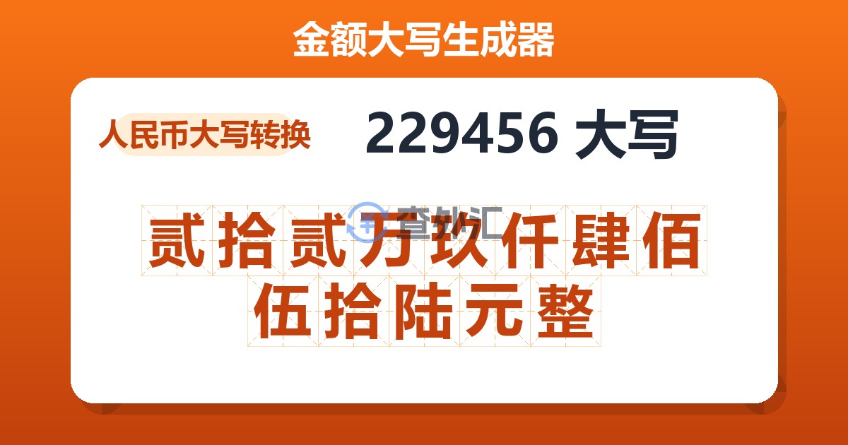 229456大写 贰拾贰万玖仟肆佰伍拾陆元整