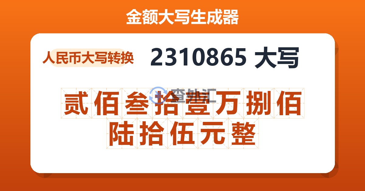 2310865大写 贰佰叁拾壹万捌佰陆拾伍元整