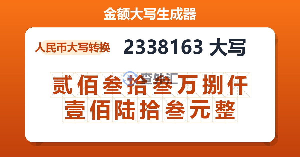 2338163大写 贰佰叁拾叁万捌仟壹佰陆拾叁元整