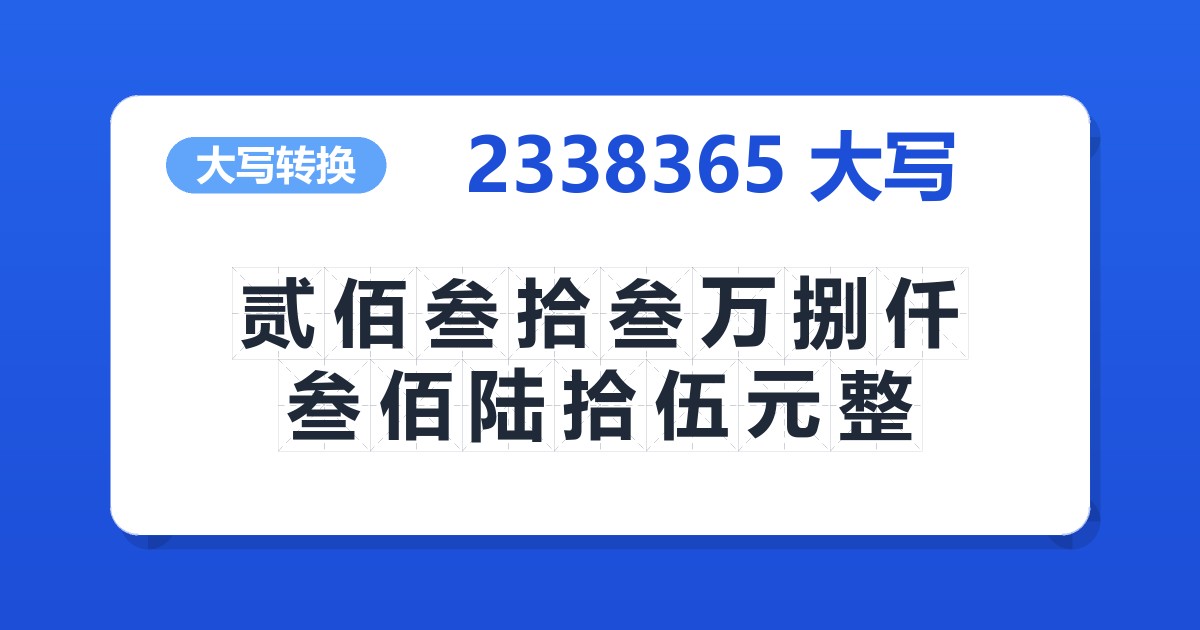 2338365大写 贰佰叁拾叁万捌仟叁佰陆拾伍元整