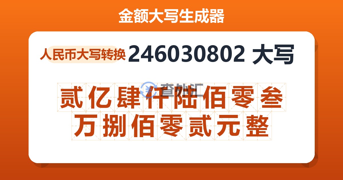 246030802大写 贰亿肆仟陆佰零叁万捌佰零贰元整