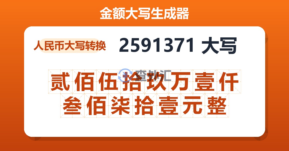 2591371大写 贰佰伍拾玖万壹仟叁佰柒拾壹元整