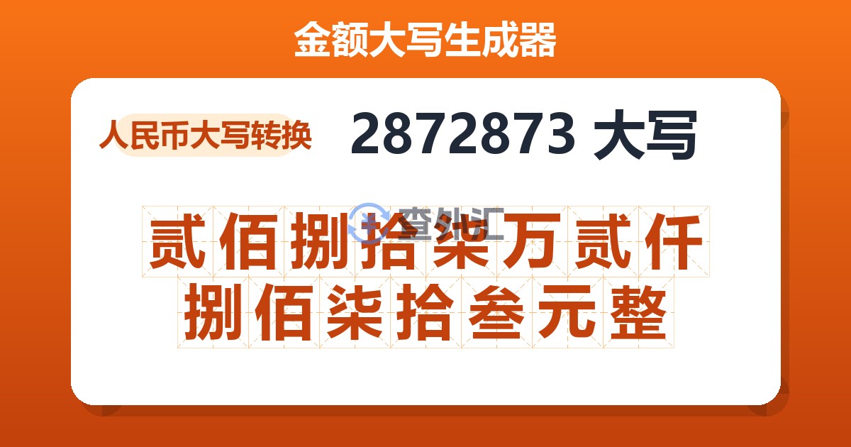 2872873大写 贰佰捌拾柒万贰仟捌佰柒拾叁元整