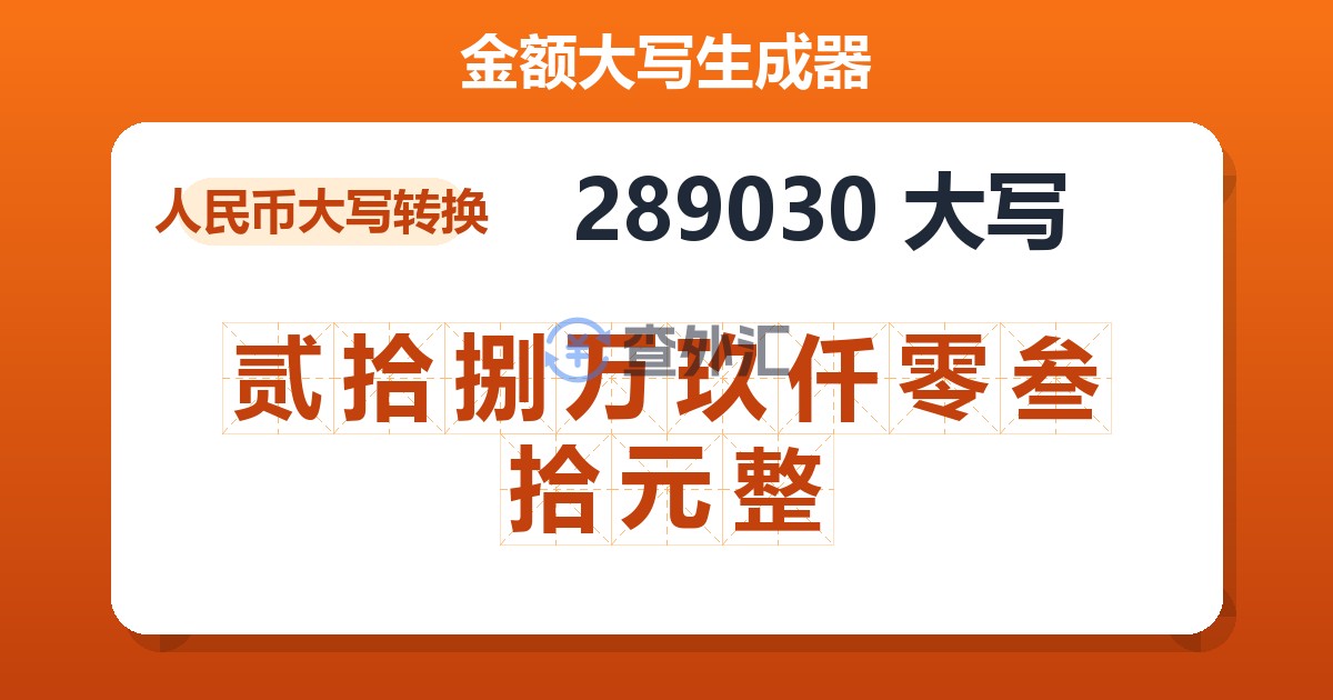 289030大写 贰拾捌万玖仟零叁拾元整