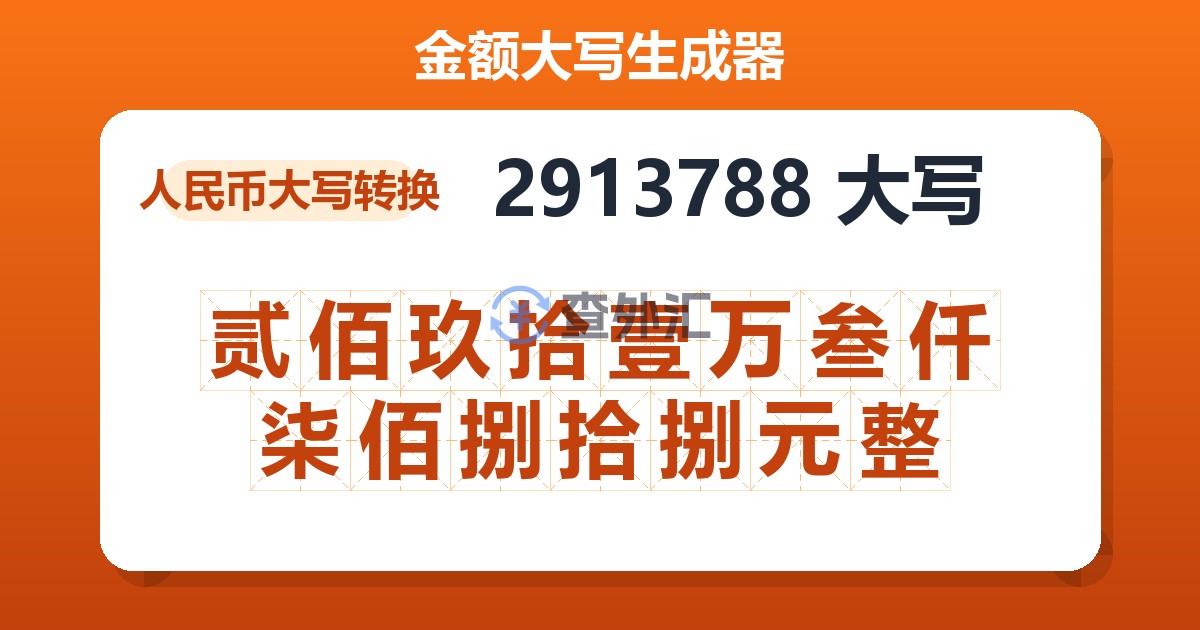 2913788大写 贰佰玖拾壹万叁仟柒佰捌拾捌元整