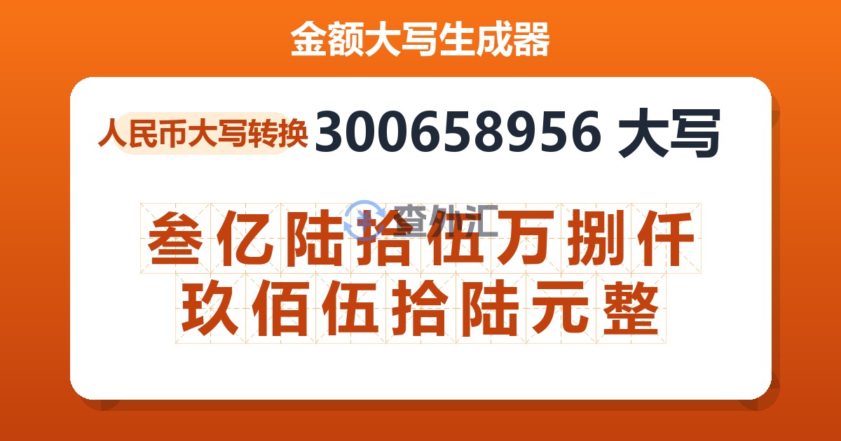 300658956大写 叁亿陆拾伍万捌仟玖佰伍拾陆元整