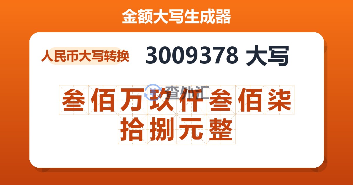 3009378大写 叁佰万玖仟叁佰柒拾捌元整