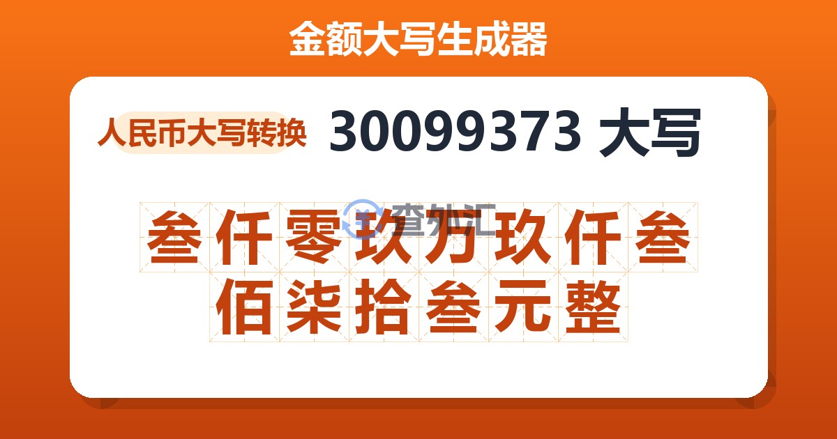 30099373大写 叁仟零玖万玖仟叁佰柒拾叁元整