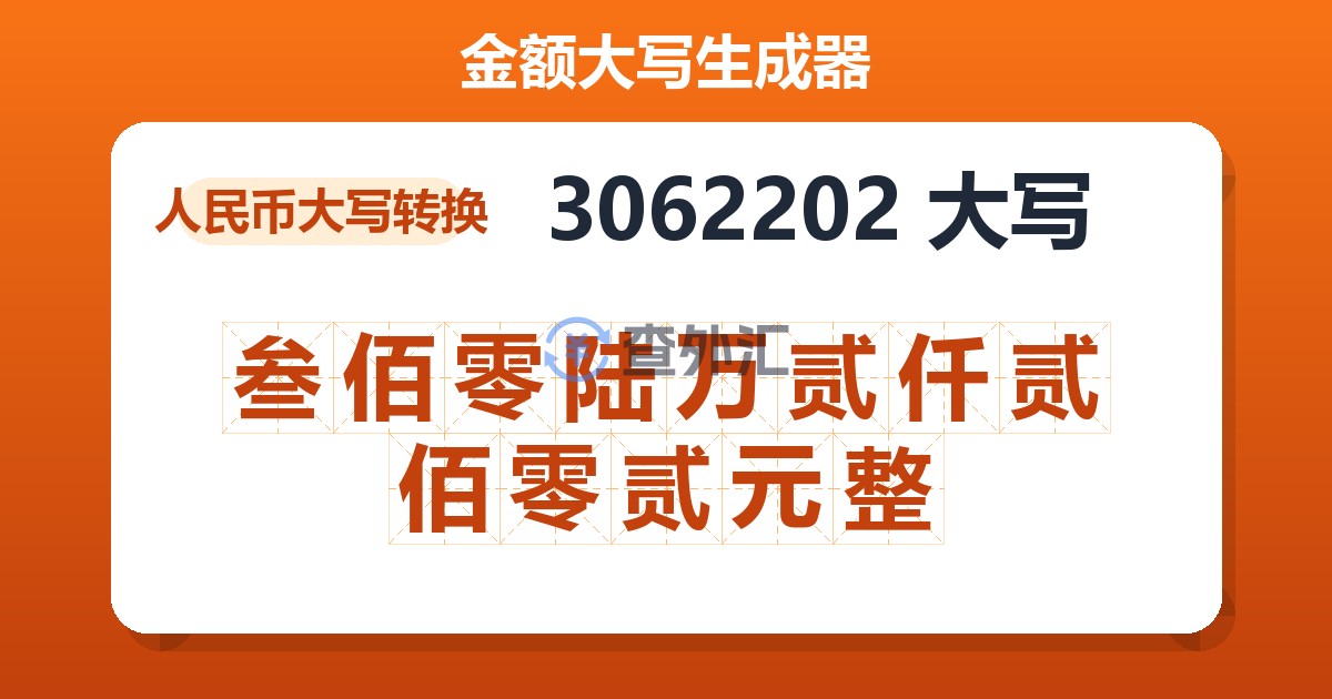 3062202大写 叁佰零陆万贰仟贰佰零贰元整